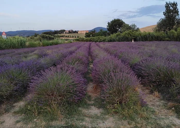 Cherry House: Giardino Privato & Relax Vicino Pisa